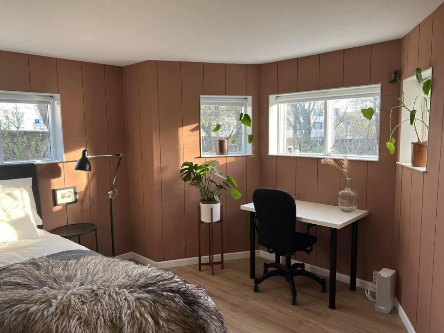 New Cozy Bohemian Dowtown Reykjavik Apartment Extérieur photo